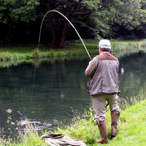 Damerham Fisheries