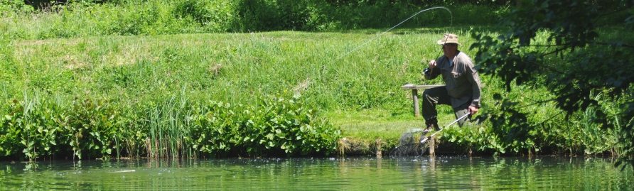 Rockbourne Trout Fishery