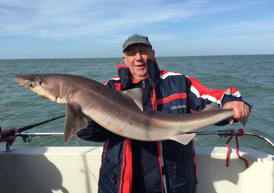 Lymington Sea Fishing