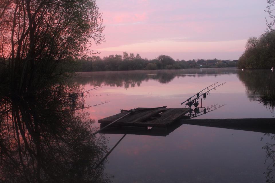 Tips And Tactics – Spring Carp Fishing