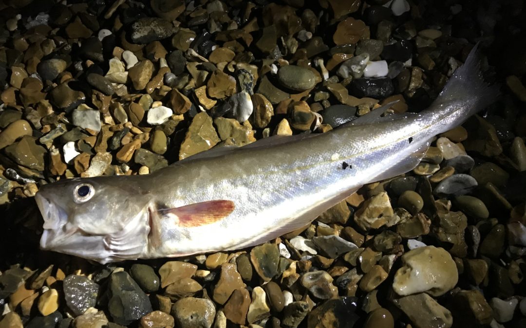 Loni’s Mini Series