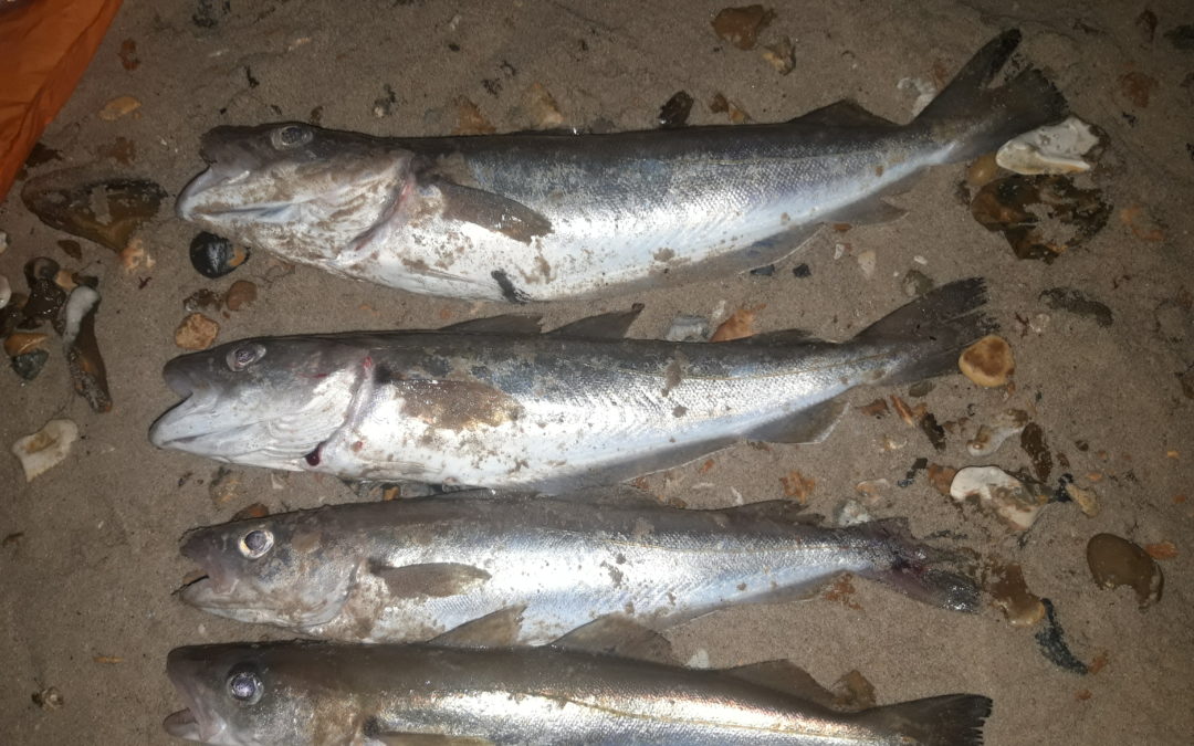 Loni’s Mini Series – Match 2