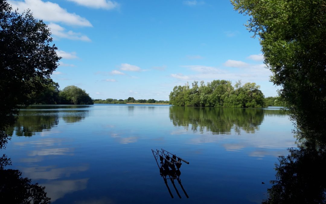 Rockford – ‘Gigantic Bream’