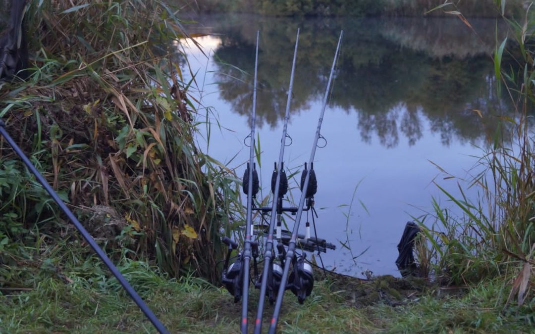 Carp Fishing And How To Approach Weedy Waters: